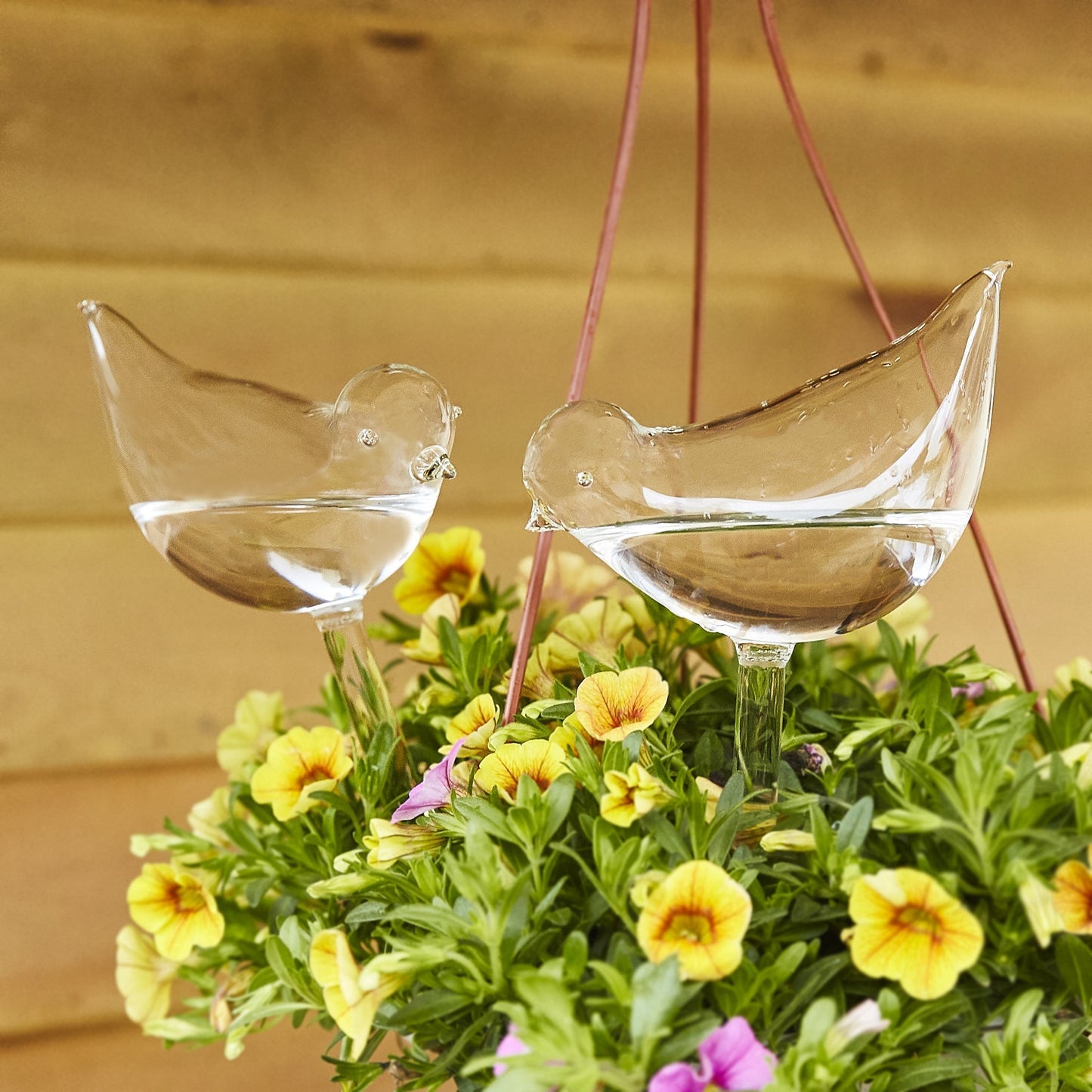 Bombillas De Vidrio Para Plantas De Riego
