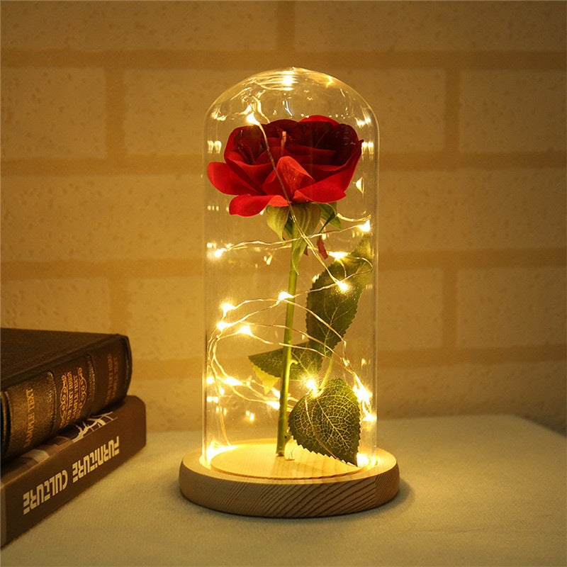 Regalo de San Valentín Preservación artificial rosa