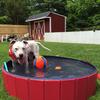PISCINA DE MASCOTA PORTÁTIL