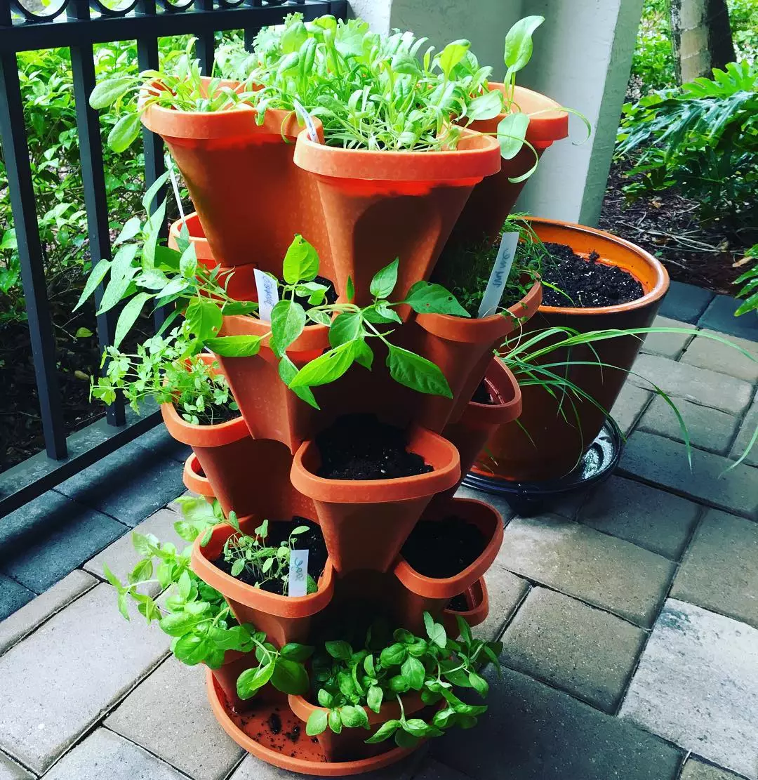 🌼Plant Festival - Macetas Apilables De Pie Macetas Para Plantar Fresas