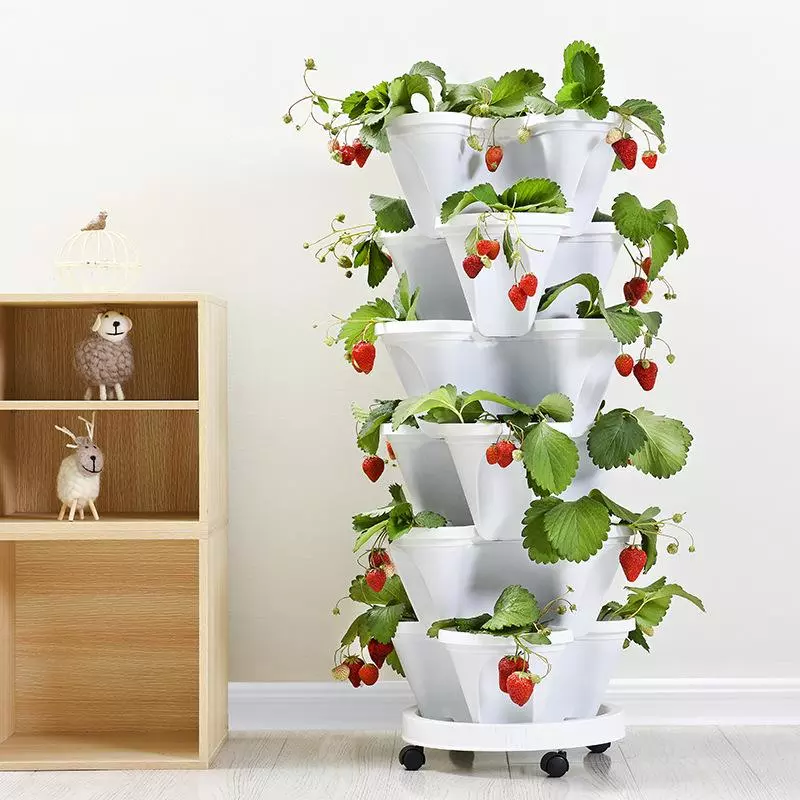 🌼Plant Festival - Macetas Apilables De Pie Macetas Para Plantar Fresas