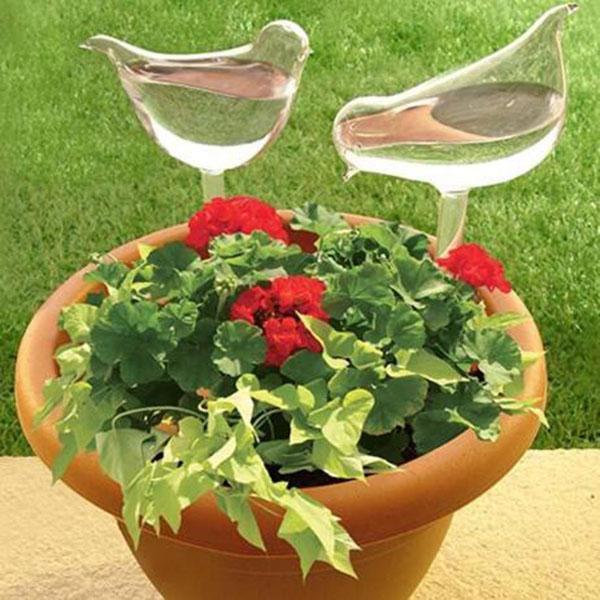 Bombillas De Vidrio Para Plantas De Riego