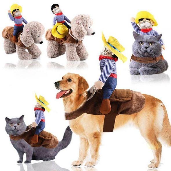 Traje de perro - Cowboy Rider