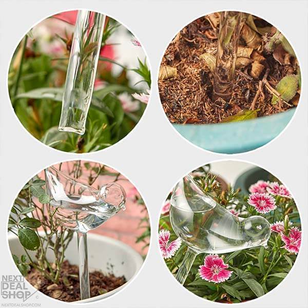 Bombillas De Vidrio Para Plantas De Riego