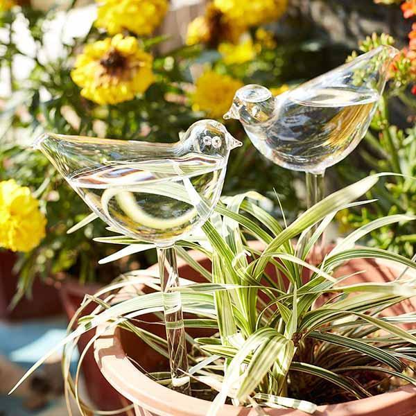 Bombillas De Vidrio Para Plantas De Riego
