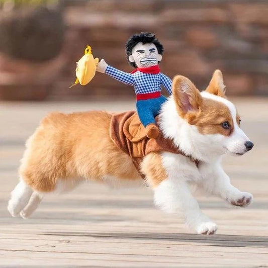 Traje de perro - Cowboy Rider