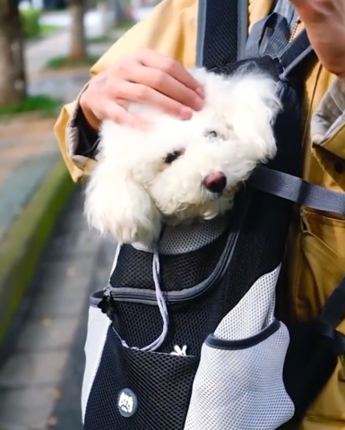 BOLSA DE VIAJE PARA MASCOTAS - PERROS Y GATOS - MXbueno