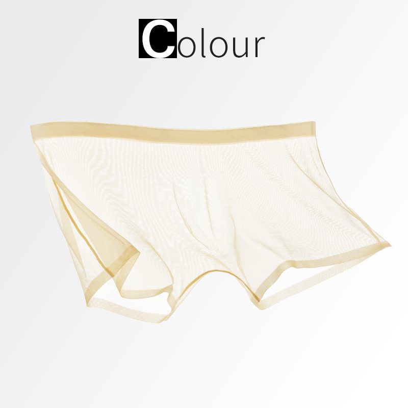 [M-Ropa Interior] Pantalones Cortos De Boxeo Transparentes Con Malla Sexy De Seda De Hielo