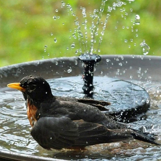 Fuente Solar